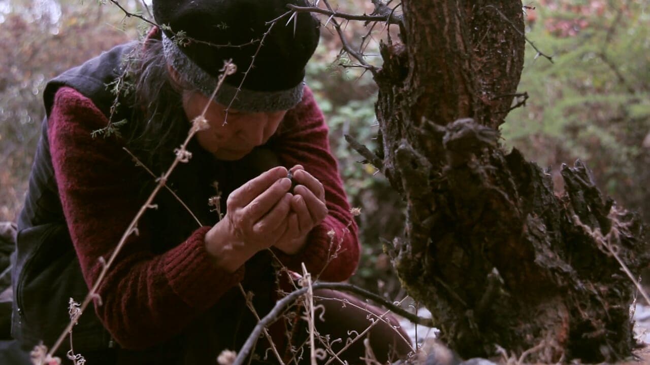 Cecilia Vicuña al Castello di Rivoli: "El glaciar ido" — la prima