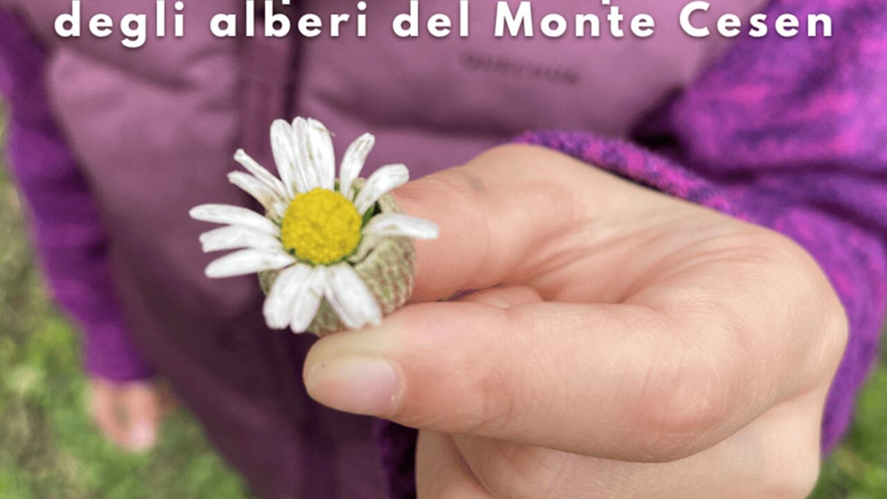 Escursione in famiglia sul Monte Cesen: fiori, piante spontanee e