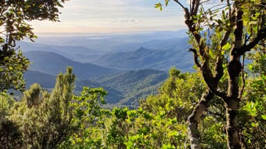 Primavera nel Parco: Gutturu Mannu apre la stagione con escursioni e