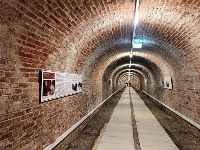 Torrita Nascosta: nuovo percorso espositivo nel tunnel sotterraneo di