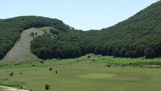 Trekking sul Monte Camposauro: ogni sabato dal 2 maggio tra natura e