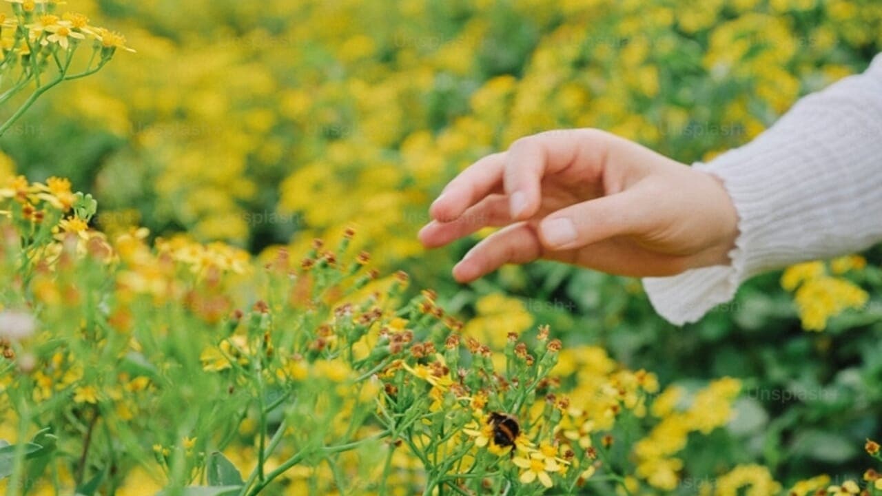Forest‑bathing a Tor Marancia: passeggiata immersiva nella Tenuta